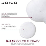 Joico K-PAK Color Therapy Shampoo and Conditioner Duo Set