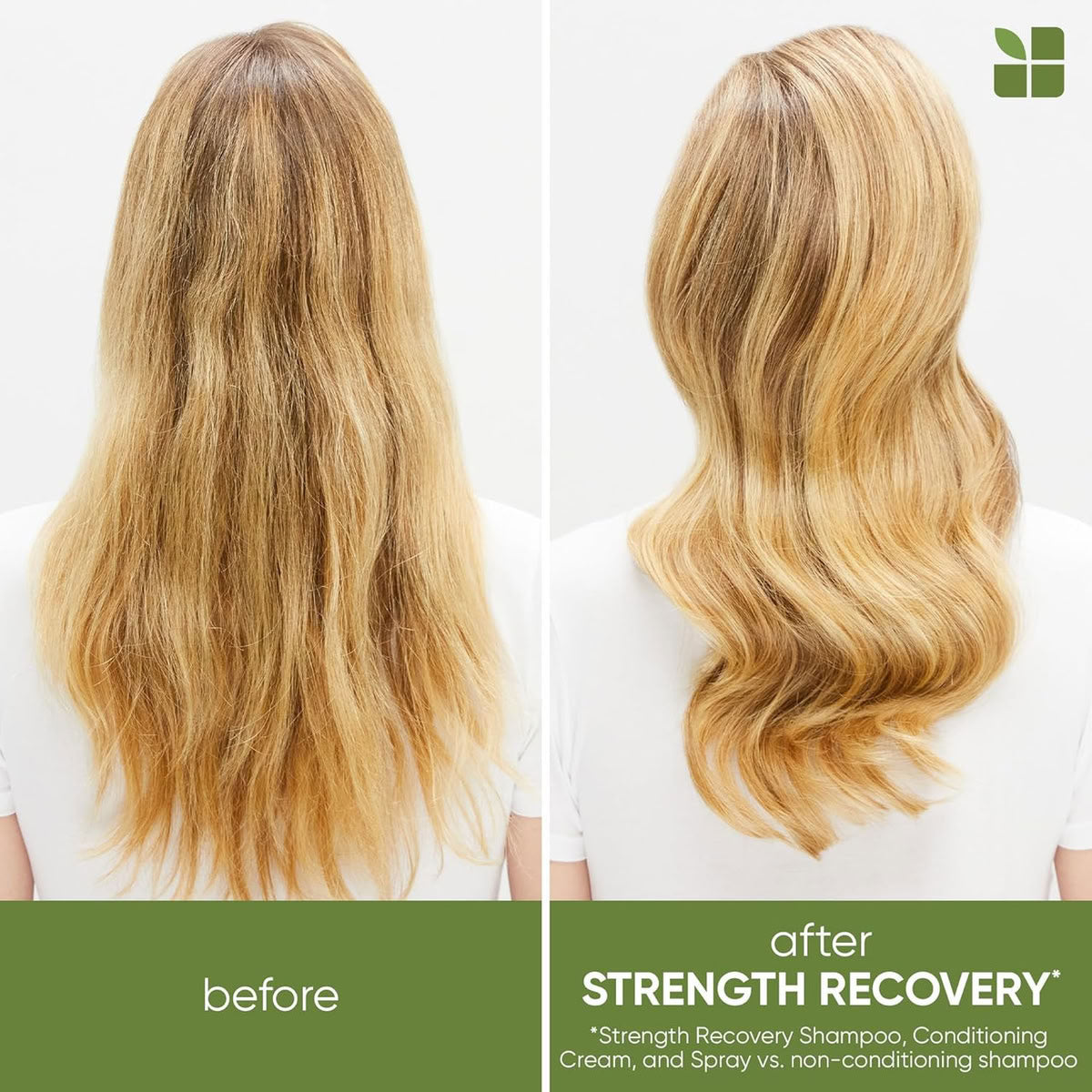 Matrix Biolage Strength Recovery Strength Repairing Spray