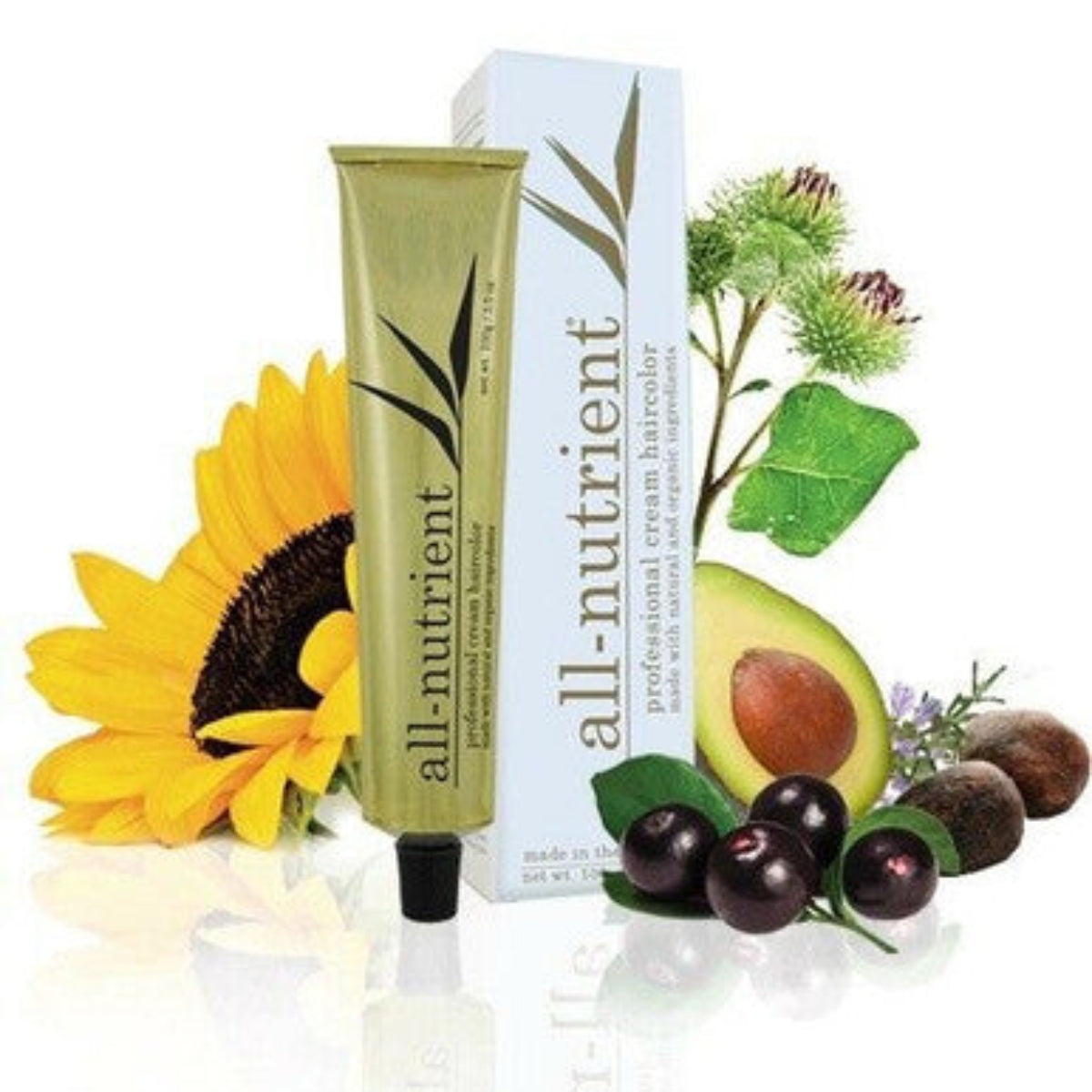 Tube of 'all-nutrient' cream haircolor with avocado, sunflower, and box on a white background