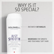 Goldwell Dualsenses Just Smooth Conditioner