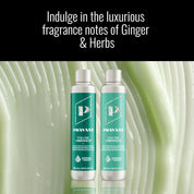 Pravana Vibrance Volume Shampoo and Conditioner Duo Set