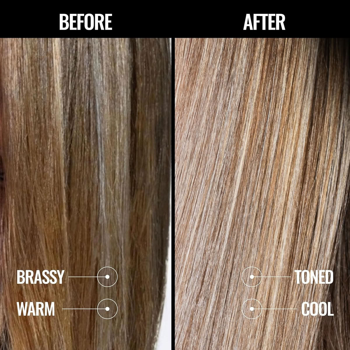 Pravana Perfect Blonde Purple Toning Shampoo