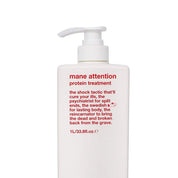 EVO Mane Attention Protein Treatment