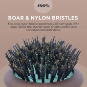 Hairbrush with boar and nylon bristles on a beige background