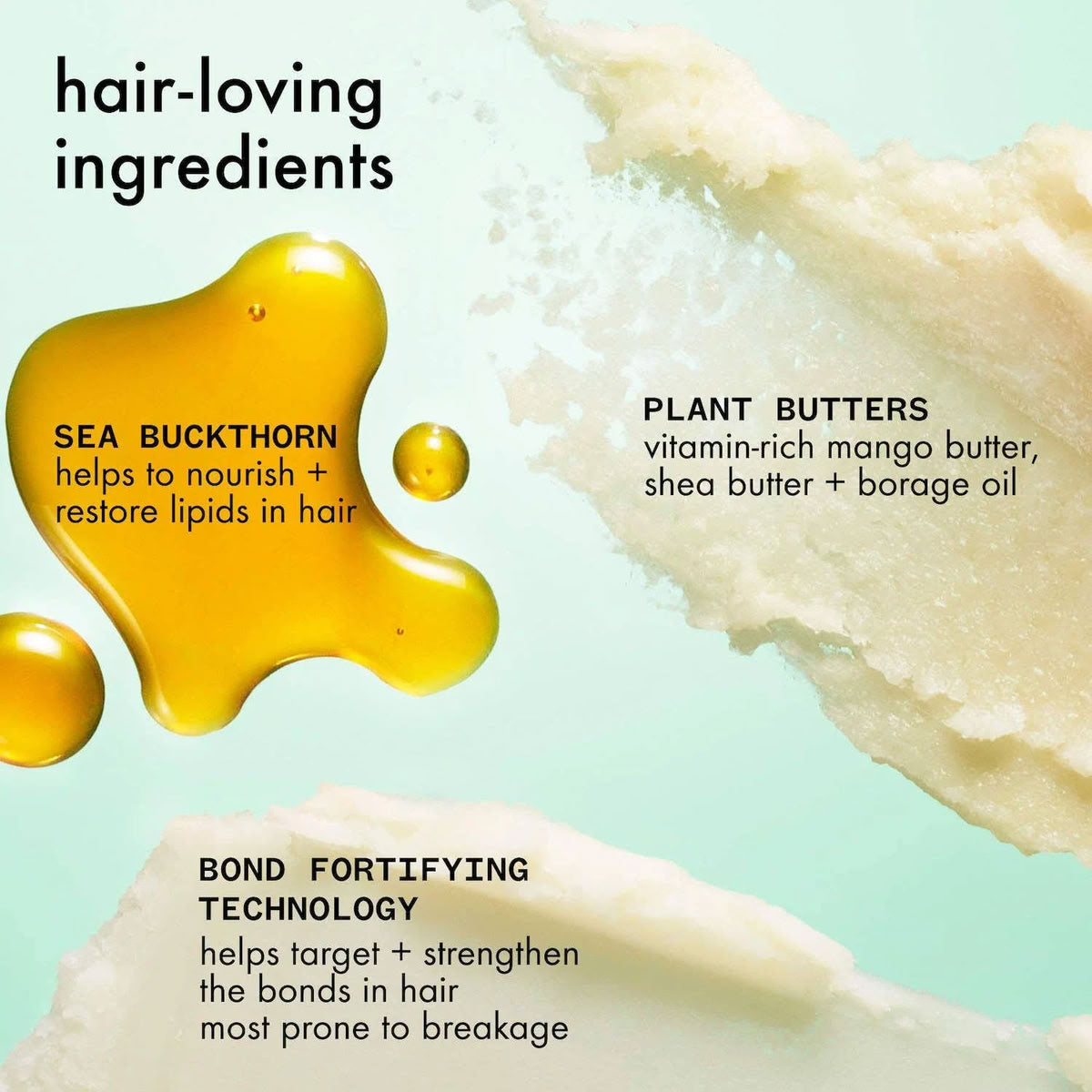 Illustration of hair care product ingredients with text on a light blue background