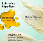 Illustration of hair care product ingredients with text on a light blue background