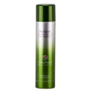 Green and silver shampoo bottle labeled 'Dry Spell Color Protect Shampoo' by ColorProof on a white background